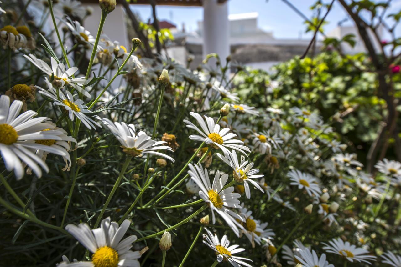 Fava Eco Suites Foinikiá Værelse billede